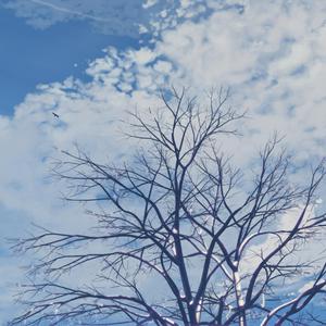 关小雨爆衣服的视频
