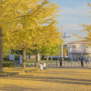 关小雨爆衣服的视频
